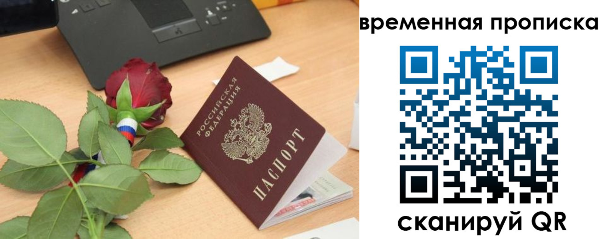 временная регистрация поиск в Сосенском